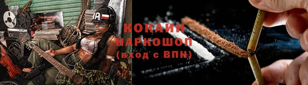 ГАЛЛЮЦИНОГЕННЫЕ ГРИБЫ Ельня