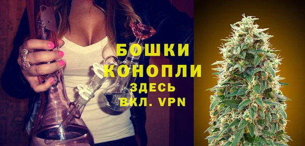 ГАЛЛЮЦИНОГЕННЫЕ ГРИБЫ Ельня
