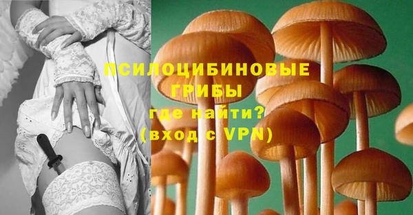 ГАЛЛЮЦИНОГЕННЫЕ ГРИБЫ Ельня