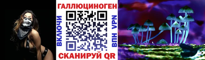 Купить  Торжок  Псилоцибиновые грибы Psilocybine cubensis 